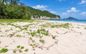 หาดแหลมศาลา
