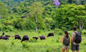 จุดชมสัตวป่ากุยบุรี