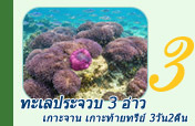 ทะเลประจวบ 3 อ่าว เกาะจาน เกาะท้ายทรีย์ 3วัน2คืน