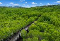 วนอุทยานปราณบุรีและปากน้ำปราณ