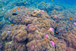อุทยานแห่งชาติหาดวนกร