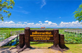 บึงบัว ทุ่งสามร้อยยอด