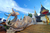 Fog Hunter: เชียงใหม่ 4 วัน 3 คืน Fog Hunter: เชียงใหม่ 4 วัน 3 คืน