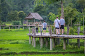 North Weird: 5 วัน 4 คืน เชียงราย เชียงใหม่ แม่ฮ่องสอน North Weird: 5 วัน 4 คืน เชียงราย เชียงใหม่ แม่ฮ่องสอน