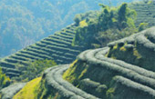 The Hills: 7 ดอย 3 วัน 2 คืน เชียงราย
