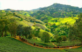 The Hills: 7 ดอย 3 วัน 2 คืน เชียงราย