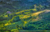 The Hills: 7 ดอย 3 วัน 2 คืน เชียงราย
