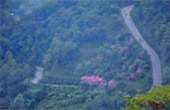 The Hills: 7 ดอย 3 วัน 2 คืน เชียงราย