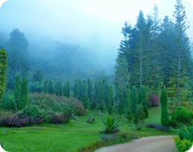 Sun on fog: เชียงราย Sun on fog: เชียงราย