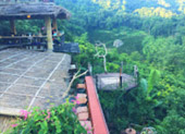 Day Trip On Top : ผจญภัยบนดอย  และวัฒนธรรม เชียงราย Day Trip On Top : ผจญภัยบนดอย  และวัฒนธรรม เชียงราย