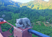 Day Trip On Top : ผจญภัยบนดอย  และวัฒนธรรม เชียงราย Day Trip On Top : ผจญภัยบนดอย  และวัฒนธรรม เชียงราย
