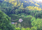 Day Trip On Top : ผจญภัยบนดอย  และวัฒนธรรม เชียงราย Day Trip On Top : ผจญภัยบนดอย  และวัฒนธรรม เชียงราย