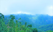Day Trip On Top : ผจญภัยบนดอย  และวัฒนธรรม เชียงราย Day Trip On Top : ผจญภัยบนดอย  และวัฒนธรรม เชียงราย