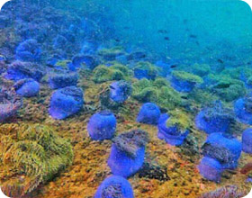 เกาะลังกาจิว เกาะกุลา ทัวร์วันเดียว เกาะลังกาจิว เกาะกุลา ทัวร์วันเดียว
