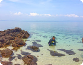 Uninhabited Islands: สำรวจ 3 เกาะ ร้าง ชุมพร Uninhabited Islands: สำรวจ 3 เกาะ ร้าง ชุมพร