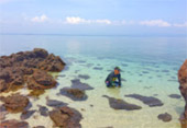 Uninhabited Islands: สำรวจ 3 เกาะ ร้าง ชุมพร Uninhabited Islands: สำรวจ 3 เกาะ ร้าง ชุมพร