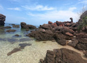 Uninhabited Islands: สำรวจ 3 เกาะ ร้าง ชุมพร Uninhabited Islands: สำรวจ 3 เกาะ ร้าง ชุมพร