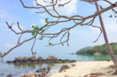 Uninhabited Islands: สำรวจ 3 เกาะ ร้าง ชุมพร Uninhabited Islands: สำรวจ 3 เกาะ ร้าง ชุมพร