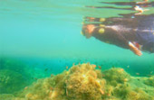 Uninhabited Islands: สำรวจ 3 เกาะ ร้าง ชุมพร Uninhabited Islands: สำรวจ 3 เกาะ ร้าง ชุมพร