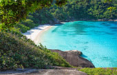 เกาะสิมิลัน เช้าเย็นกลับ Day Trip เกาะสิมิลัน เช้าเย็นกลับ Day Trip