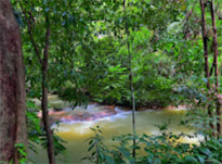 The Hidden: แหลมสัก อ่าวลึก The Hidden: แหลมสัก อ่าวลึก