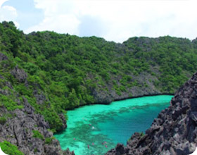 Sea Lovers: หัวใจคนรักทะเล Sea Lovers: หัวใจคนรักทะเล
