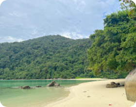 นอนเกาะสุรินทร์ 2 วัน 1 คืน นอนเกาะสุรินทร์ 2 วัน 1 คืน