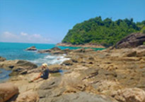 ทัวร์ 3 เกาะ จากเขาหลัก เกาะกำ เกาะญี่ปุ่น เกาะค้างคาว ทัวร์ 3 เกาะ จากเขาหลัก เกาะกำ เกาะญี่ปุ่น เกาะค้างคาว