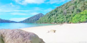 Sea Lovers: หัวใจคนรักทะเล Sea Lovers: หัวใจคนรักทะเล