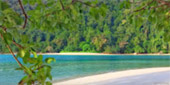 Sea Lovers: หัวใจคนรักทะเล Sea Lovers: หัวใจคนรักทะเล