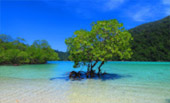 เกาะสุรินทร์ Full Day: จากเขาหลัก เกาะสุรินทร์ Full Day: จากเขาหลัก