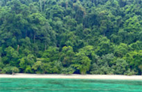 Variety in Phang Nga Package for Long Holiday