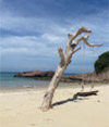 เขาหน้ายักษ์: Snorkeling and Beach Day Tour เขาหน้ายักษ์: Snorkeling and Beach Day Tour