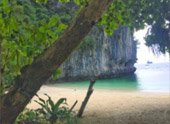 เกาะห้องเต็มวัน / กับครอบครัว เกาะห้องเต็มวัน / กับครอบครัว