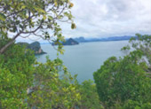 เกาะห้องเต็มวัน / กับครอบครัว เกาะห้องเต็มวัน / กับครอบครัว