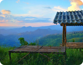Cold Land ปาย + อ่างขาง..เสียงเพรียก จากความหนาวเหน็บ Cold Land ปาย + อ่างขาง..เสียงเพรียก จากความหนาวเหน็บ