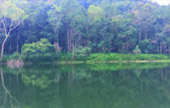 บ้านรักไทย: Fog Village 3 วัน 2 คืน