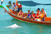 Dolphins and Mr. Khai เช้าเย็นกลับ Dolphins and Mr. Khai เช้าเย็นกลับ