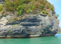 Dolphins and Mr. Khai เช้าเย็นกลับ Dolphins and Mr. Khai เช้าเย็นกลับ
