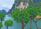 Build your hope 3 วัน 2 คืน สุราษ นครศรี Build your hope 3 วัน 2 คืน สุราษ นครศรี