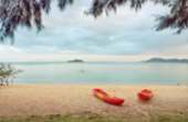 ติดเกาะ 65 ชั่วโมง เกาะพะลวย - หมู่เกาะอ่างทอง ติดเกาะ 65 ชั่วโมง เกาะพะลวย - หมู่เกาะอ่างทอง