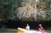 A pristine island: เกาะพะลวย A pristine island: เกาะพะลวย