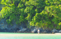 A pristine island: เกาะพะลวย A pristine island: เกาะพะลวย