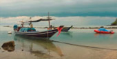 A pristine island: เกาะพะลวย A pristine island: เกาะพะลวย