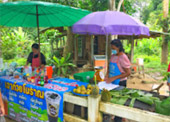 Build your hope 3 วัน 2 คืน สุราษ นครศรี Build your hope 3 วัน 2 คืน สุราษ นครศรี