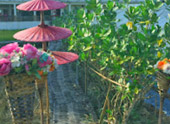 The Cross น่าน หลวงพระบาง 5 วัน 4 คืน