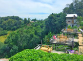 The Cross น่าน หลวงพระบาง 5 วัน 4 คืน