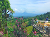 The Cross น่าน หลวงพระบาง 5 วัน 4 คืน