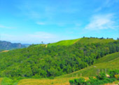 The Cross น่าน หลวงพระบาง 5 วัน 4 คืน