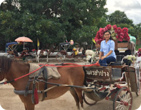 4 วัน 3 คืน ลำปาง แพร่ น่าน 4 วัน 3 คืน ลำปาง แพร่ น่าน